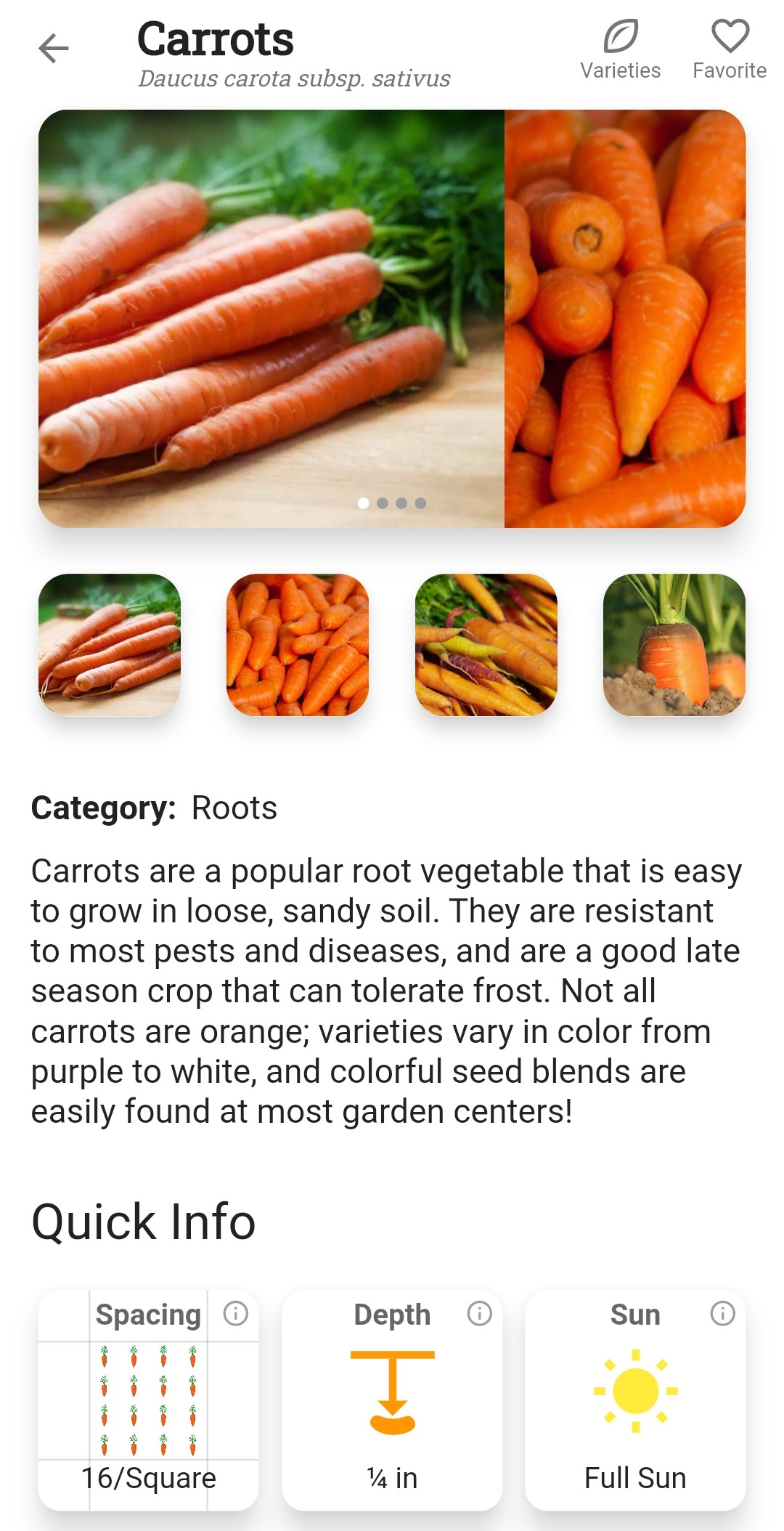 Screenshot of How to Grow information for carrots